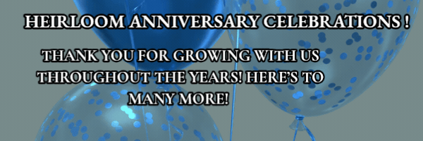 Six Years in Hadley, Four Years in Bernardston: Celebrating the Communities That Make Heirloom Home