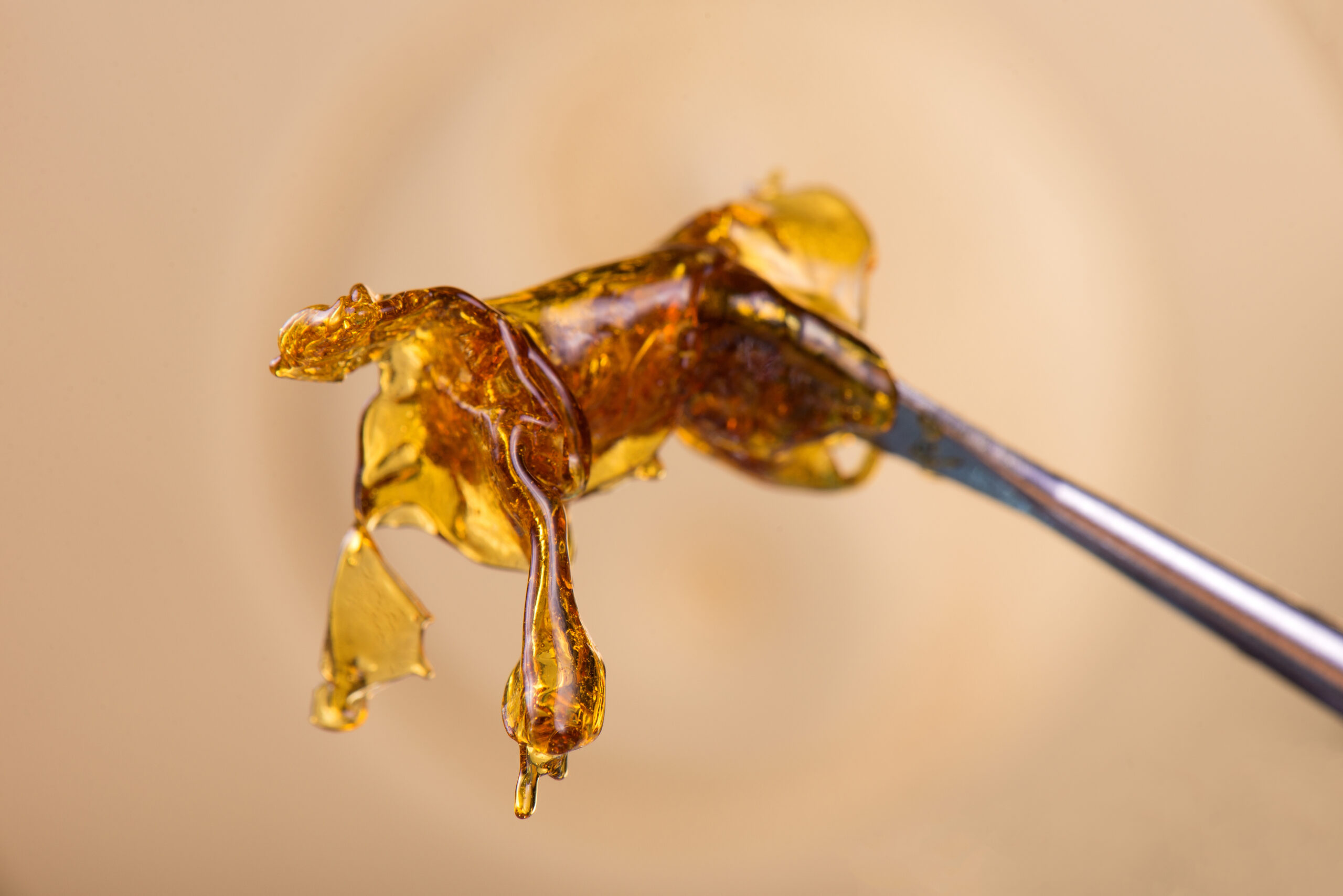 Dab Day at Heirloom: 710 Deals & Summer Highlights in Hadley & Bernardston