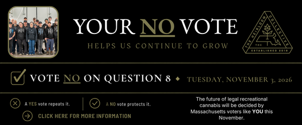 Vote No on Massachusetts Question 8 to protect legal cannabis
