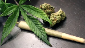 a marijuana leaf next to nuggs and a joint | The Heirloom Collective
